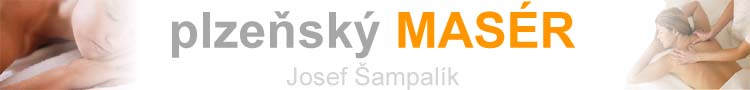 Primary Raster logo